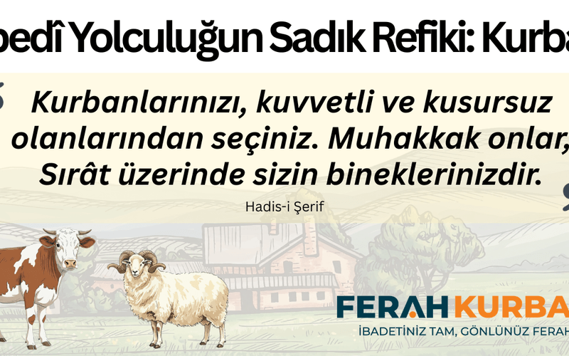 Ebedî Yolculuğun Sadık Refiki: Kurban