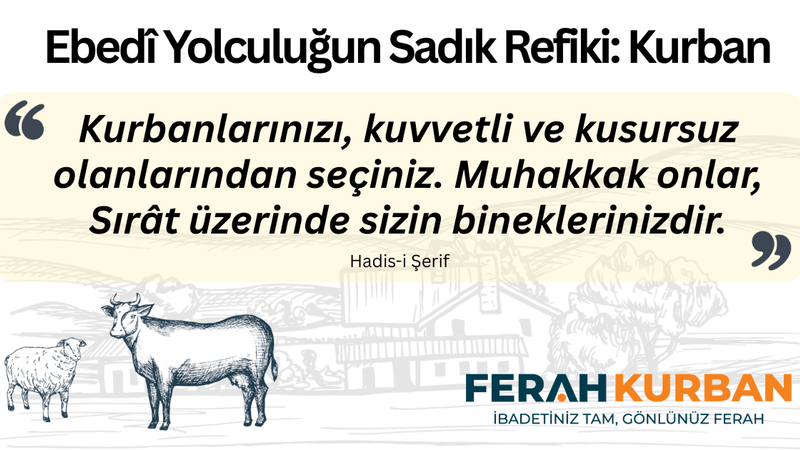 Ebedî Yolculuğun Sadık Refiki: Kurban