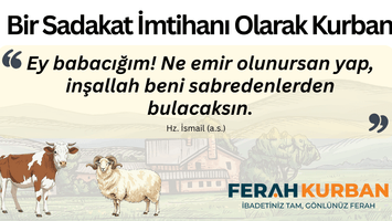 Bıçağın Kesmediği Teslimiyet: Bir Sadakat İmtihanı Olarak Kurban