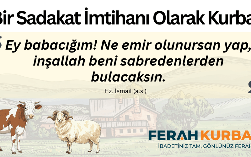 Bıçağın Kesmediği Teslimiyet: Bir Sadakat İmtihanı Olarak Kurban